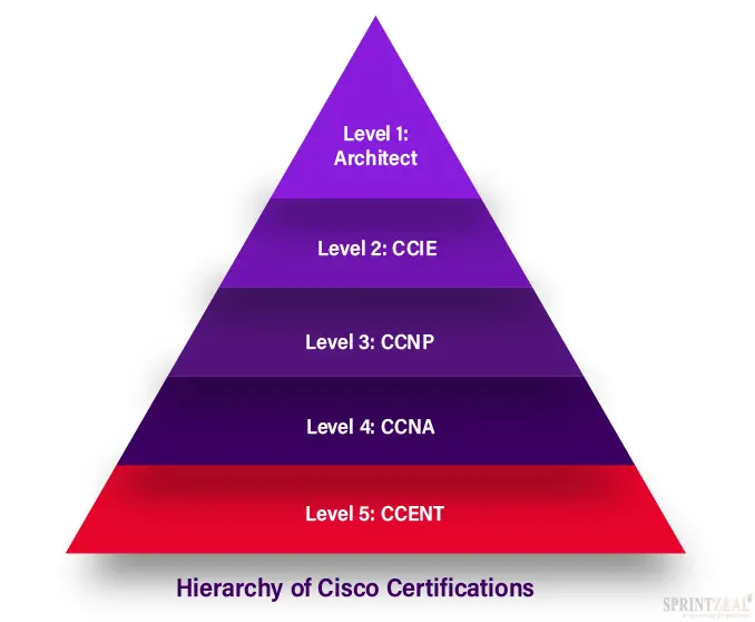 Cisco Certification