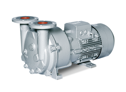 Liquid Ring Vacuum Pump By Elmo Riesche