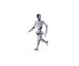Humanoid Robots